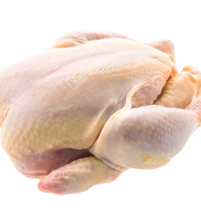 freepik__background__31526